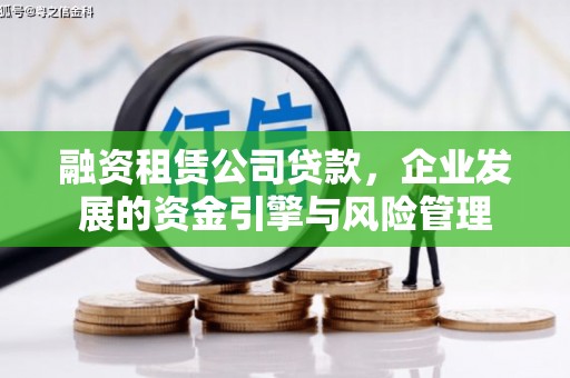 阳新融资租赁公司贷款，企业发展的资金引擎与风险管理