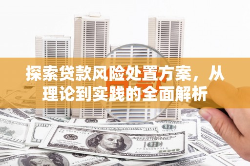 阳新探索贷款风险处置方案，从理论到实践的全面解析