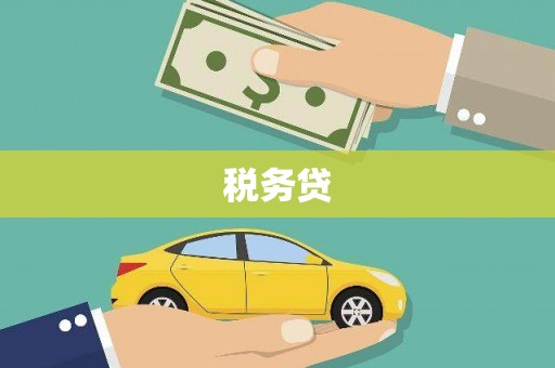 阳新税务贷