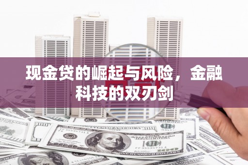 阳新现金贷的崛起与风险，金融科技的双刃剑