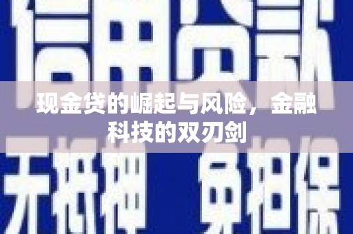 阳新现金贷的崛起与风险，金融科技的双刃剑