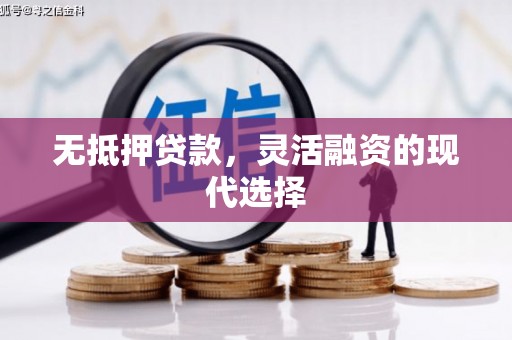 阳新无抵押贷款，灵活融资的现代选择