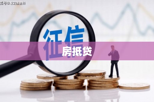 阳新房抵贷