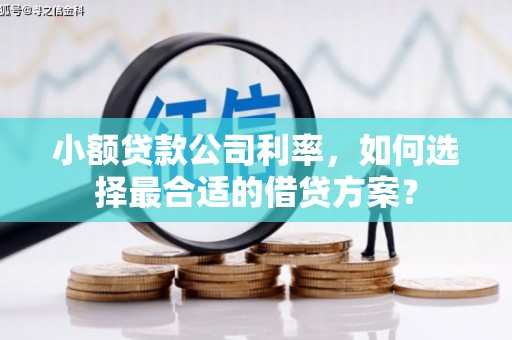 阳新小额贷款公司利率，如何选择最合适的借贷方案？