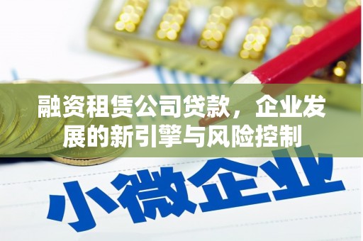 阳新融资租赁公司贷款，企业发展的新引擎与风险控制