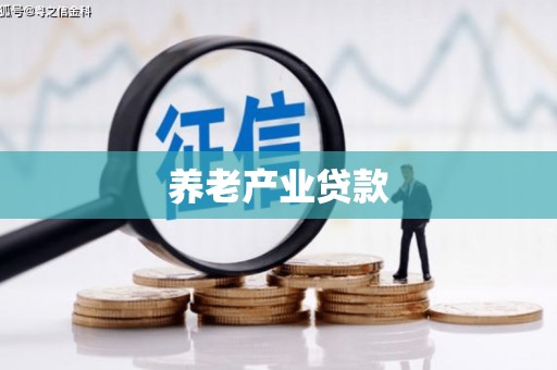 阳新养老产业贷款