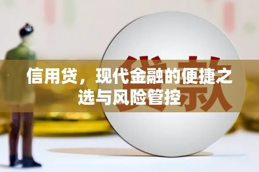 阳新信用贷，现代金融的便捷之选与风险管控