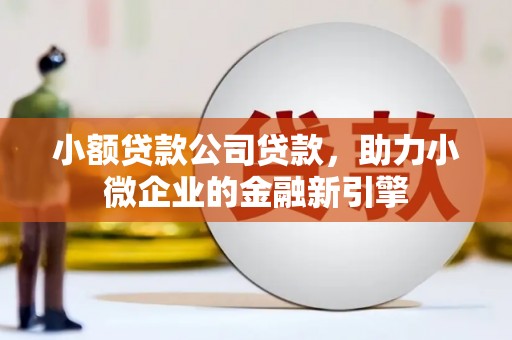 阳新小额贷款公司贷款，助力小微企业的金融新引擎