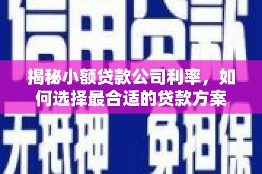 阳新揭秘小额贷款公司利率，如何选择最合适的贷款方案
