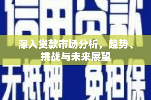 阳新深入贷款市场分析，趋势、挑战与未来展望