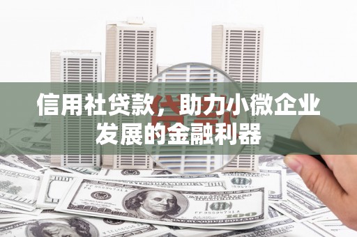 阳新信用社贷款，助力小微企业发展的金融利器