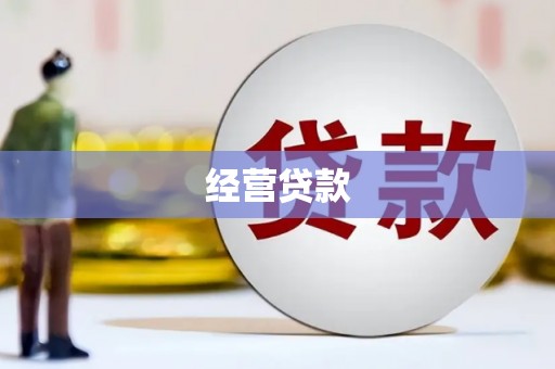 阳新经营贷款
