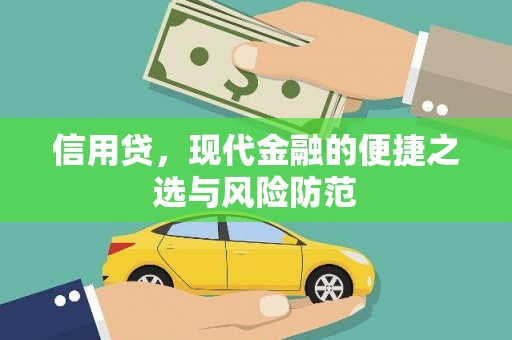 阳新信用贷，现代金融的便捷之选与风险防范