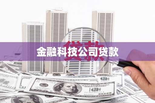 阳新金融科技公司贷款