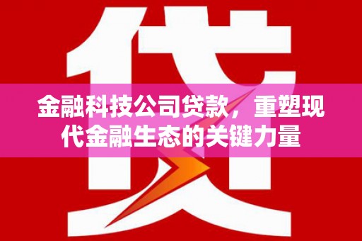 阳新金融科技公司贷款，重塑现代金融生态的关键力量