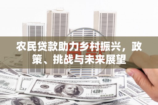 阳新农民贷款助力乡村振兴，政策、挑战与未来展望