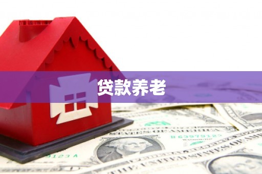 阳新贷款养老