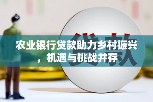 阳新农业银行贷款助力乡村振兴，机遇与挑战并存