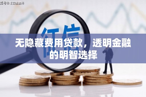 阳新无隐藏费用贷款，透明金融的明智选择