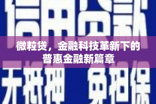 阳新微粒贷，金融科技革新下的普惠金融新篇章