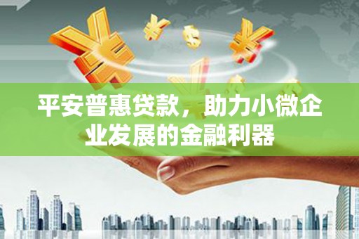 阳新平安普惠贷款，助力小微企业发展的金融利器