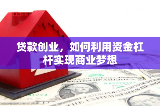 阳新贷款创业，如何利用资金杠杆实现商业梦想