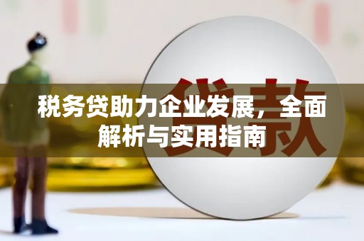 阳新税务贷助力企业发展，全面解析与实用指南
