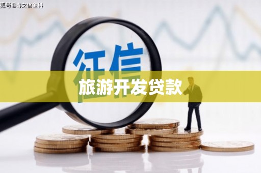 阳新旅游开发贷款