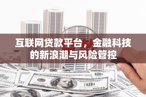 阳新互联网贷款平台，金融科技的新浪潮与风险管控