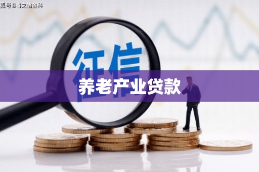 阳新养老产业贷款