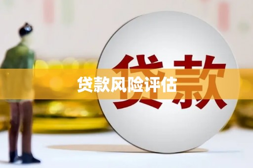 阳新贷款风险评估