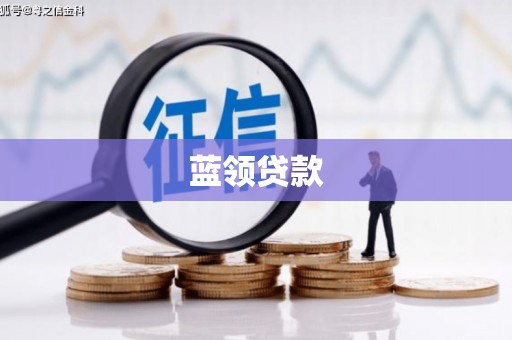 阳新蓝领贷款