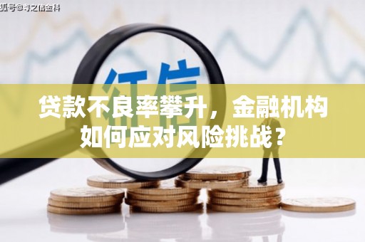 阳新贷款不良率攀升，金融机构如何应对风险挑战？