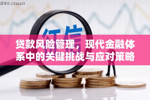 阳新贷款风险管理，现代金融体系中的关键挑战与应对策略