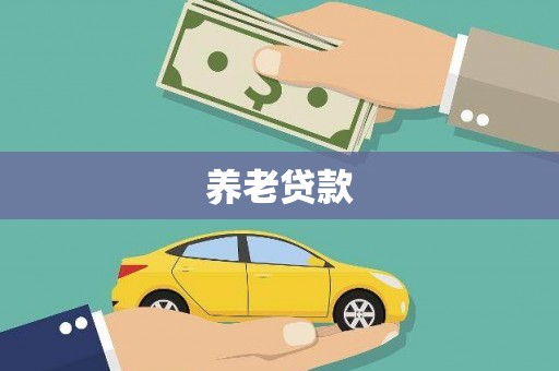 阳新养老贷款