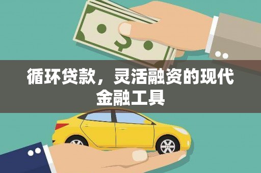 阳新循环贷款，灵活融资的现代金融工具