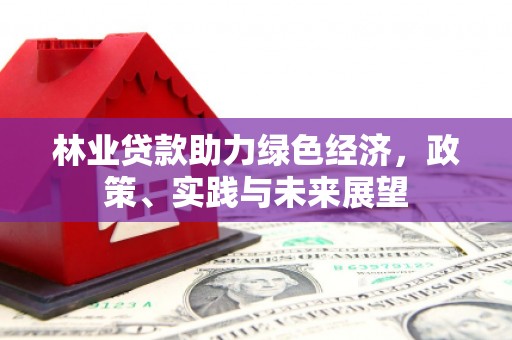 阳新林业贷款助力绿色经济，政策、实践与未来展望