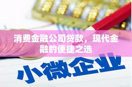 阳新消费金融公司贷款，现代金融的便捷之选