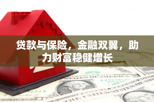 阳新贷款与保险，金融双翼，助力财富稳健增长