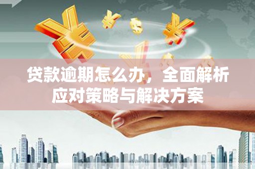 阳新贷款逾期怎么办，全面解析应对策略与解决方案