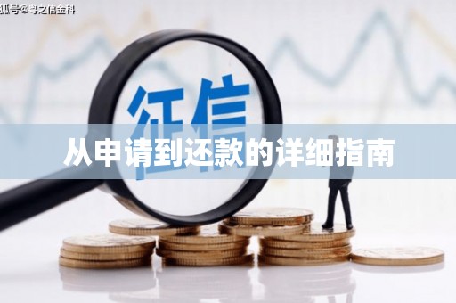 阳新从申请到还款的详细指南