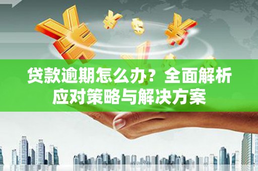 阳新贷款逾期怎么办？全面解析应对策略与解决方案