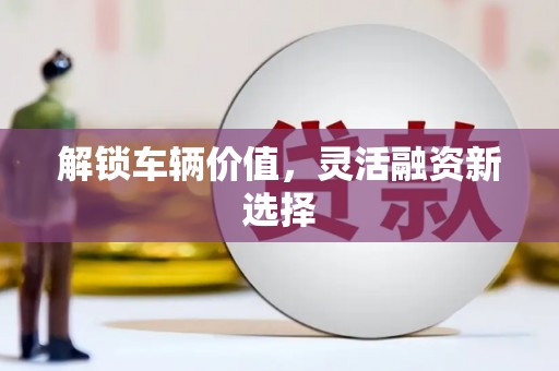 阳新解锁车辆价值，灵活融资新选择
