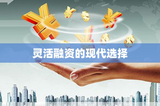 阳新灵活融资的现代选择