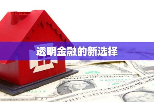 阳新透明金融的新选择