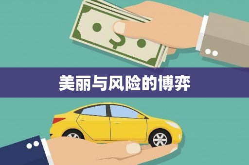 阳新美丽与风险的博弈