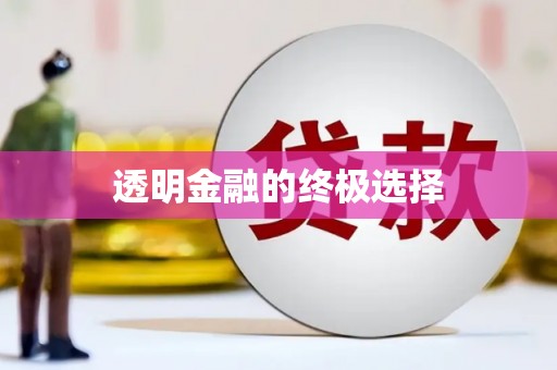 阳新透明金融的终极选择