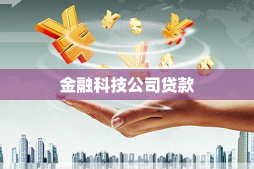 阳新金融科技公司贷款