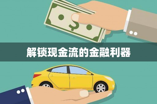 阳新解锁现金流的金融利器