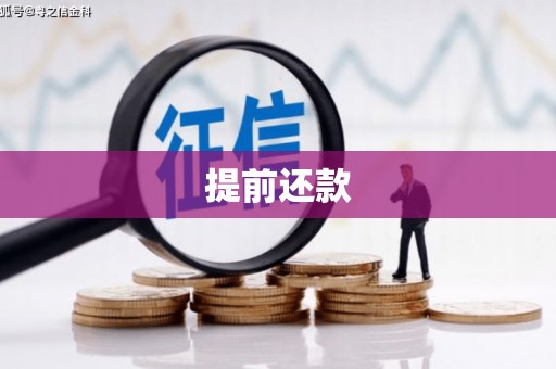 阳新提前还款